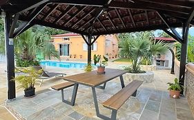 Le Volcan - Piscine - Dodoterla